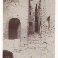 LIV1535