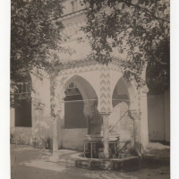 LIV1610