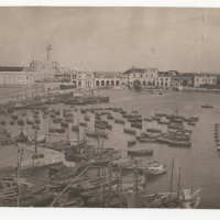 LIV1615