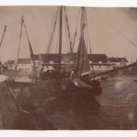 LIV1621