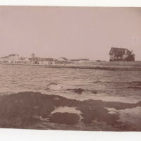 LIV1625
