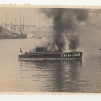 LIV1774