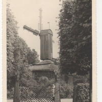 LIV1826