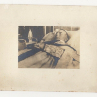 LIV1831