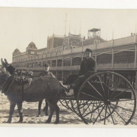 LIV1893