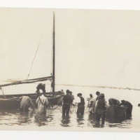 LIV1895