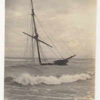LIV1901