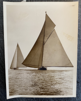 LIV7383